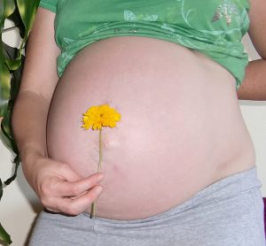 33 semanas de gravidez